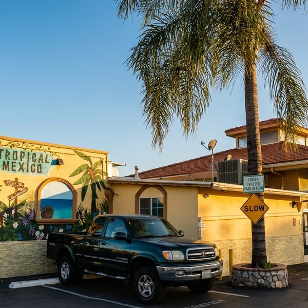 Tropical Mexico restaurant exterior with murals, palm trees, and a parked truck under a clear sky.